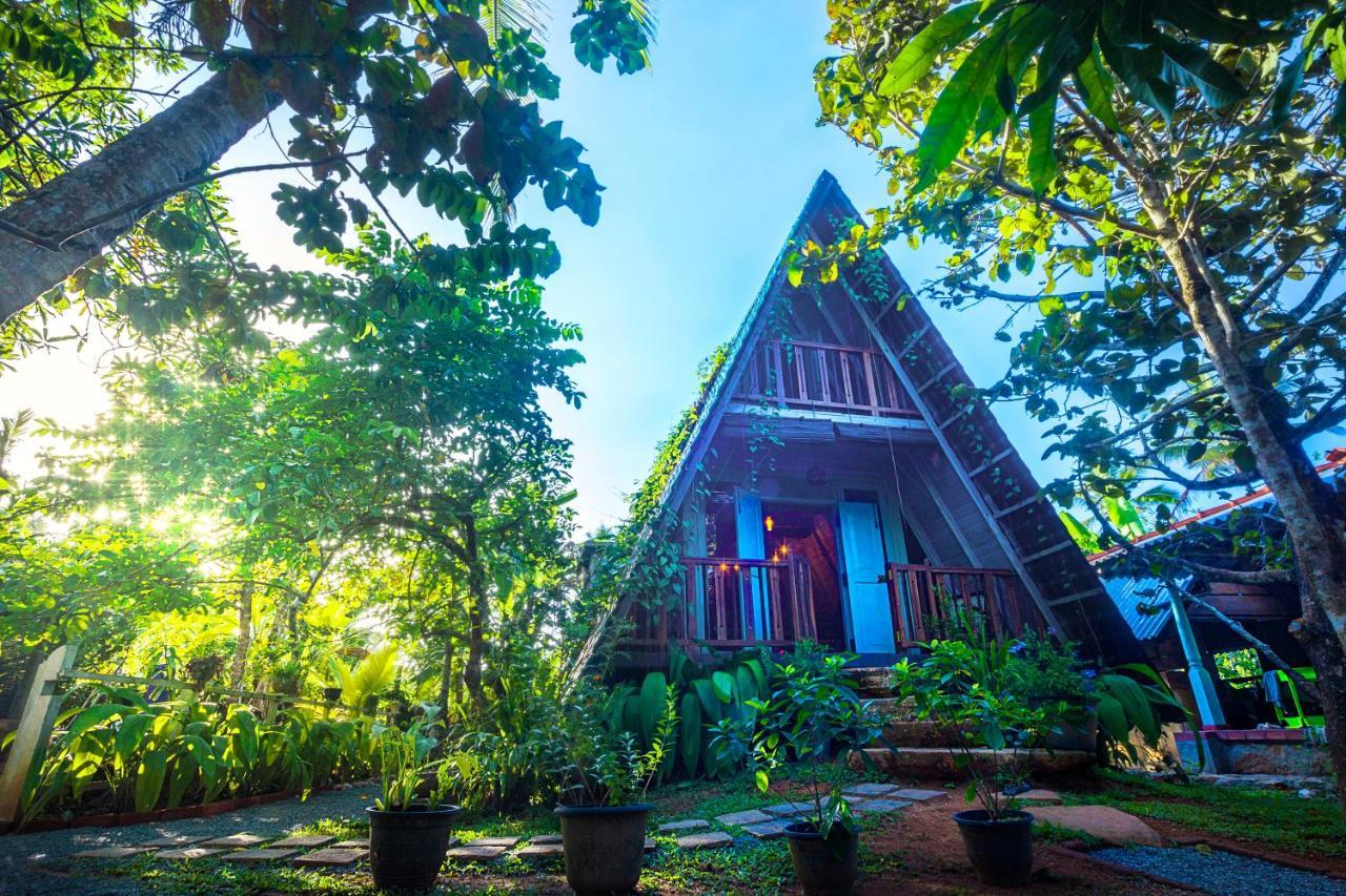 Villa Ovita Talpe Exterior foto