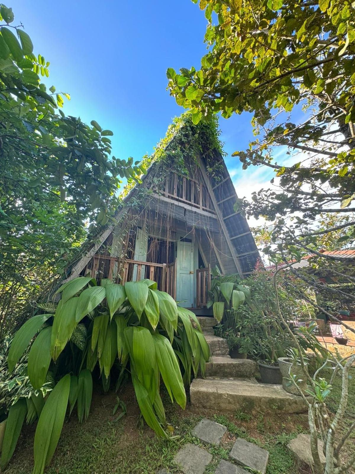 Villa Ovita Talpe Exterior foto