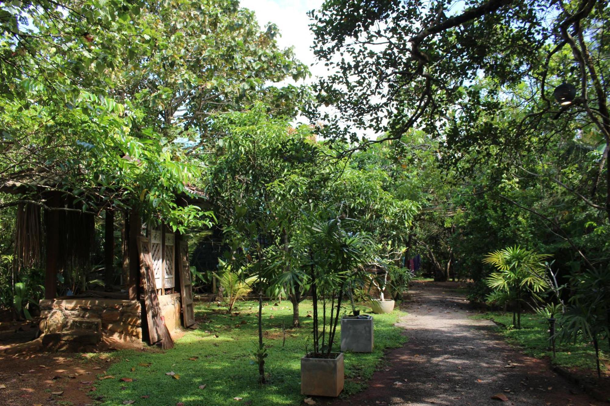 Villa Ovita Talpe Exterior foto